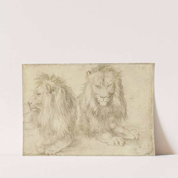 Two seated lion (1521) by Albrecht Dürer
