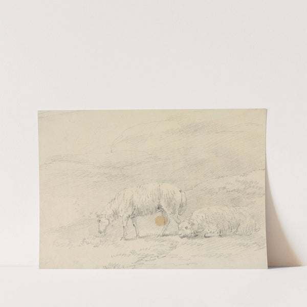 Two Sheep by Sawrey Gilpin