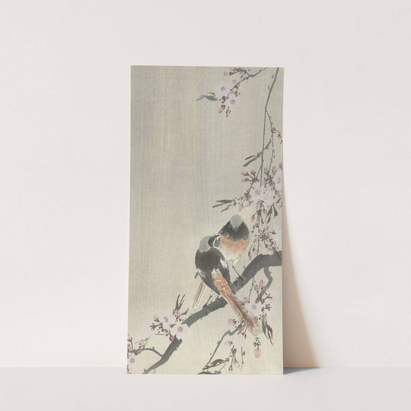 Two siegeled redtails with cherry blossom by Ohara Koson