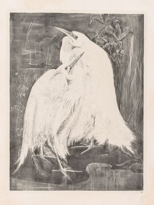 Two Silver Herons (1898)