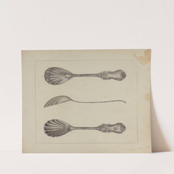 Two Silver Sugar Spoons by Anthony Zuccarello