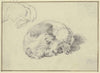 Two sleeping dogs