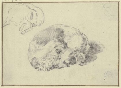 Two sleeping dogs