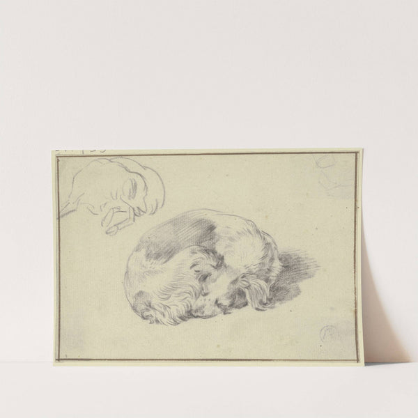 Two sleeping dogs by Nicolaes Pietersz. Berchem