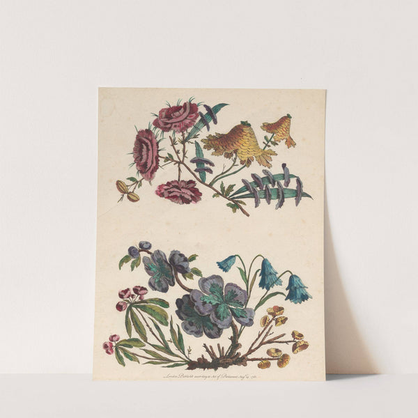 Two Sprays of Imaginary Flowers (1760) by Jean-Baptiste Pillement
