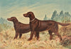 Two standing Flatcoated Retrievers, facing left (1880)