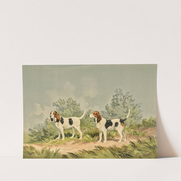 Two standing Harriers, facing left (1880) by Alexander Pope Jr.