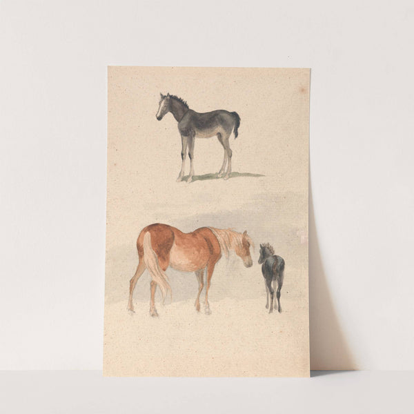 Two Studies; a Foal, and a Mare and Foal by Robert Hills