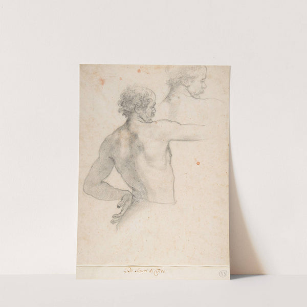 Two Studies of a Man by Santi Di Tito