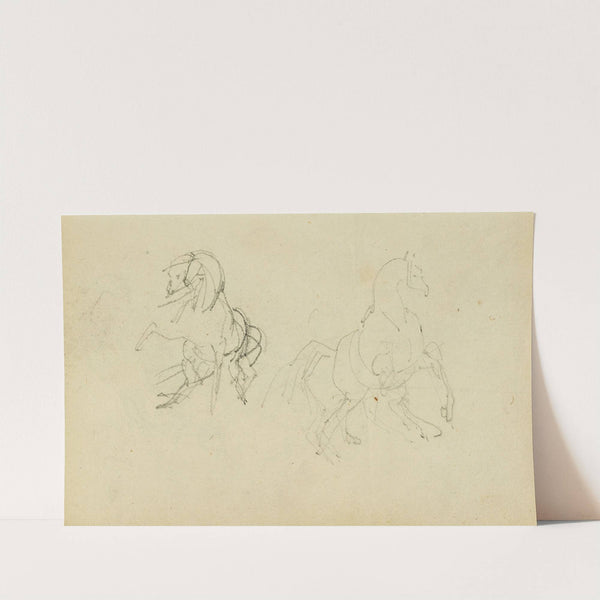 Two studies of a rearing horse by Théodore Géricault