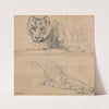 Two Studies of a Tiger; above; Head and Shoulders; below; Hindquarters by James Ward