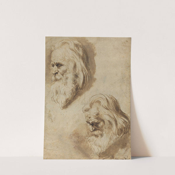 Two Studies of an Elderly Man's Head by Paulus Pontius