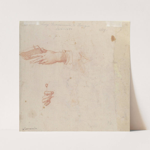 Two Studies of Hands by Poppi (Francesco Morandini)