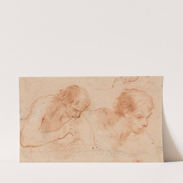 Two studies of the bust of a man turned towards the right (1640s) by Andrea Sacchi