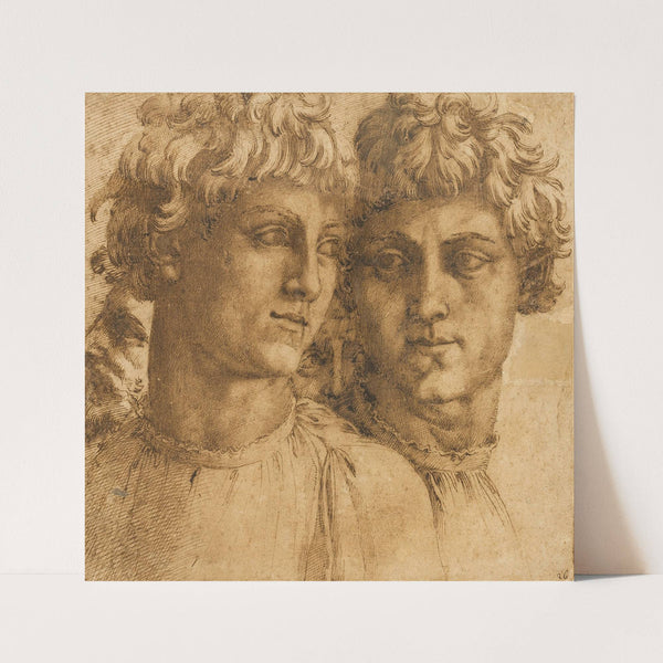 Two Studies of the Head of a Youth by Baccio Bandinelli