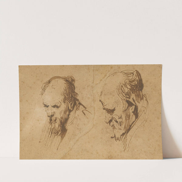 Two Studies of the Head of an Old Man by Rembrandt van Rijn