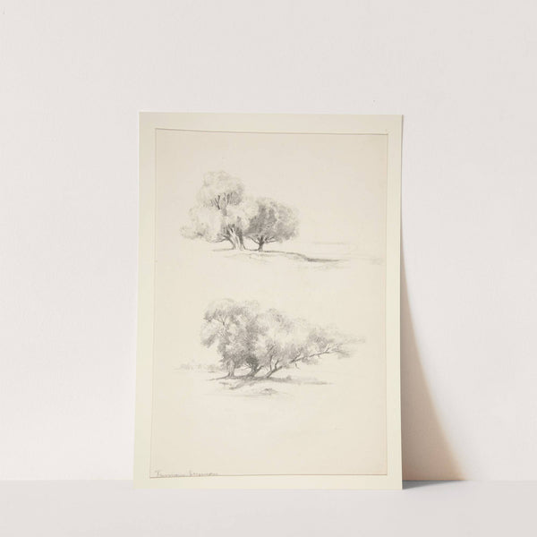 Two Studies of Trees (19th century) by Truman Seymour