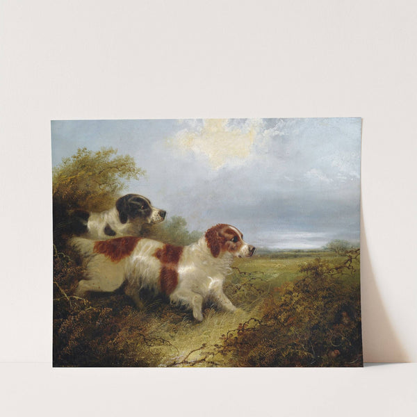 Two Terriers by Edward Armfield