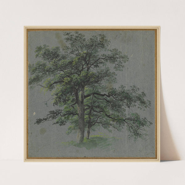 Two Trees (1800–1850) by Johann Jacob Dorner