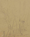 Two trees growing by a river and reflected in the water (1890 - 1900)