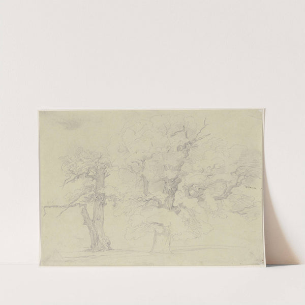 Two trees by Jakob Becker