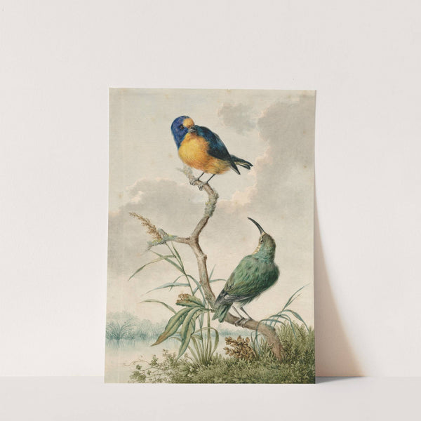 Two tropical birds 2 by Barend Hendrik Thier