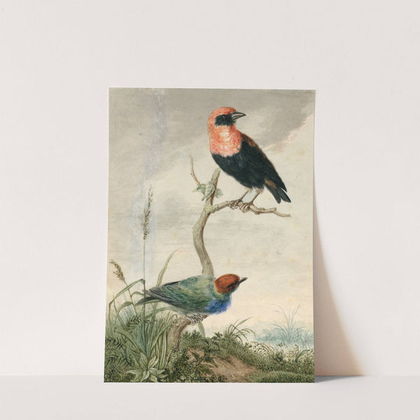 Two tropical birds by Barend Hendrik Thier