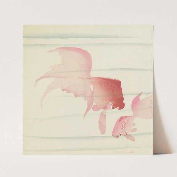 Two veil tails (1900 - 1936) by Ohara Koson