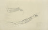 Two views of musculature of the arm