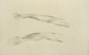 Two views of musculature of the arm.