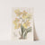 Two-warted Oncidium by Sydenham Edwards
