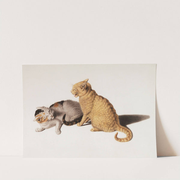 Two young cats be in conflict by Gottfried Mind