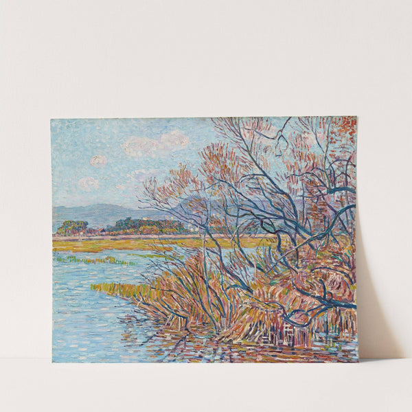 Überschwemmung bei Hyères mit Baumgestrüpp und Schilfgras am Ufer (1900) by Paul Baum