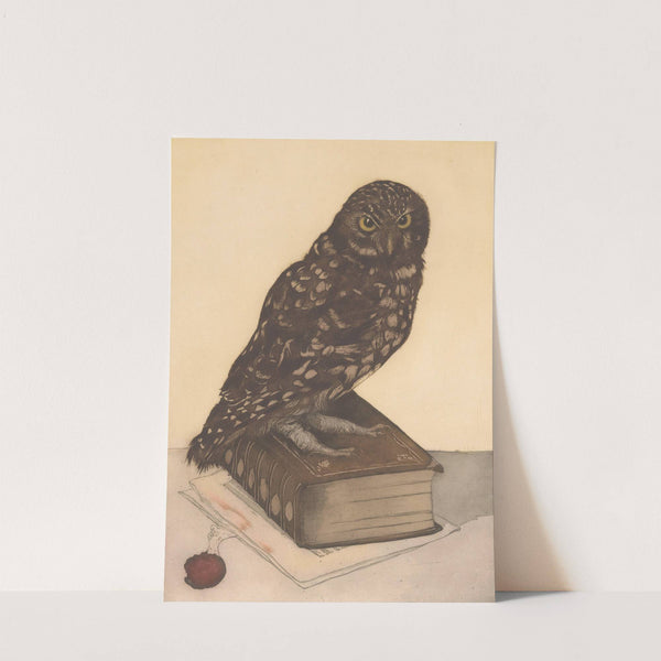 Uil zittend op een boek by Frans Everbag