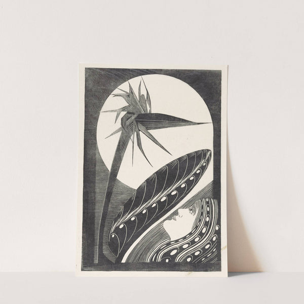 Uitgebloeide strelitzia by Samuel Jessurun de Mesquita