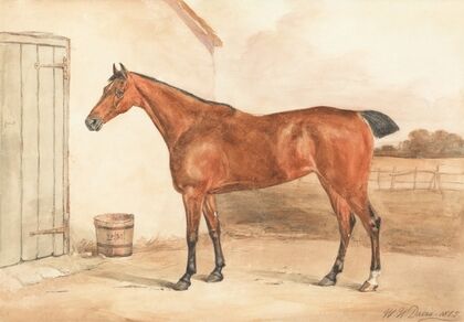 Ultima, One of Lord Maynard’s Mares