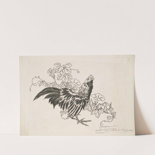 Un coq et des liserons. (1866) by Félix Bracquemond