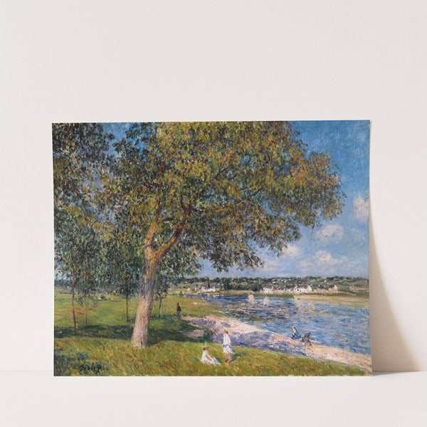 Un Noyer Dans La Prairie De Thomery (1880) by Alfred Sisley