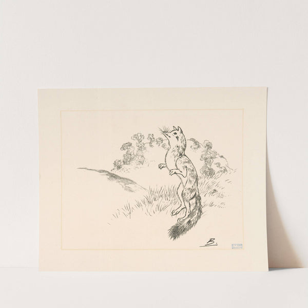 Un rennard sur ses pattes de derrière. (1866 - 1878) by Félix Bracquemond