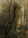 Un ruisseau; environs de Beauvais