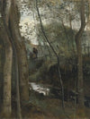 Un ruisseau sous bois