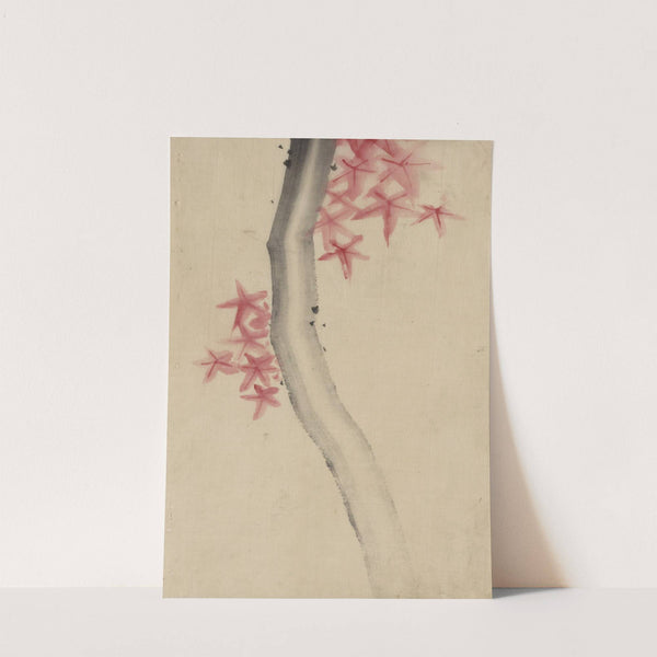 Unidentified, possibly a tree branch with red star-shaped leaves or blossoms by Katsushika Hokusai