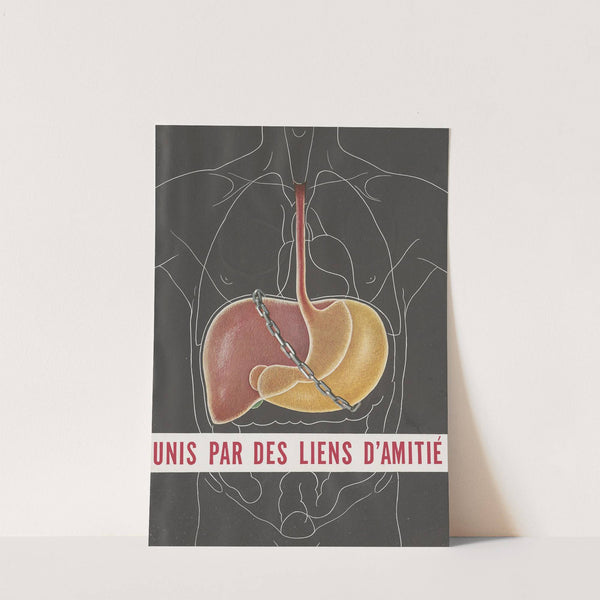 Unis par des liens d’amitié (1910-1950) by Laboratoires Substantia