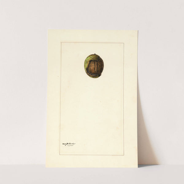 unknown by Mary Daisy Arnold