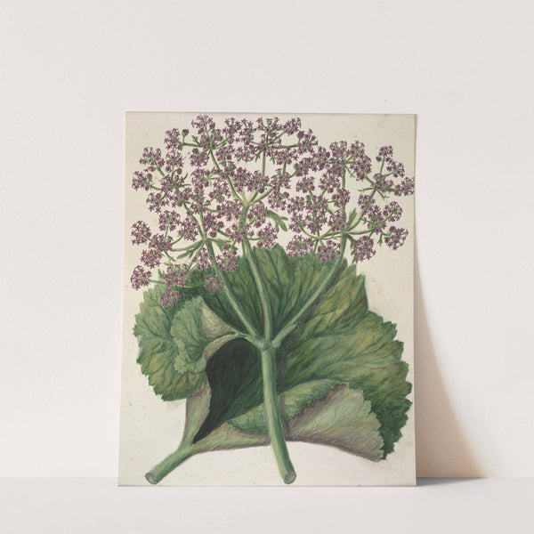 Untitled by Sarah Featon