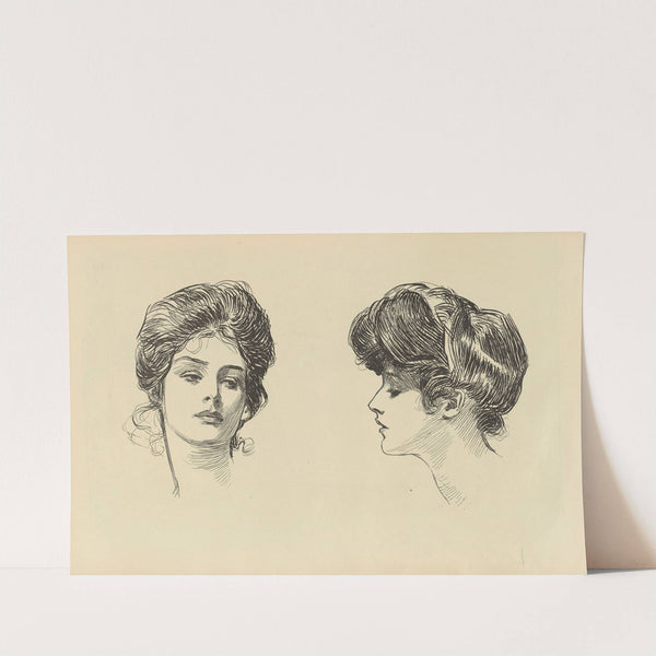 Untitled (1900-1905) by Charles Dana Gibson