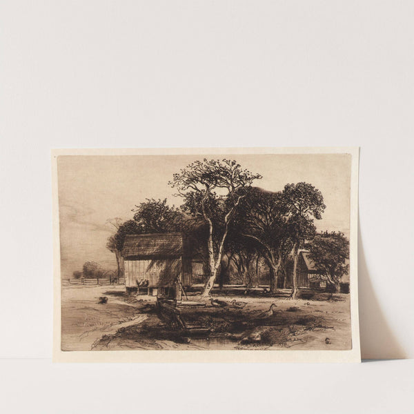 Untitled by Samuel Colman