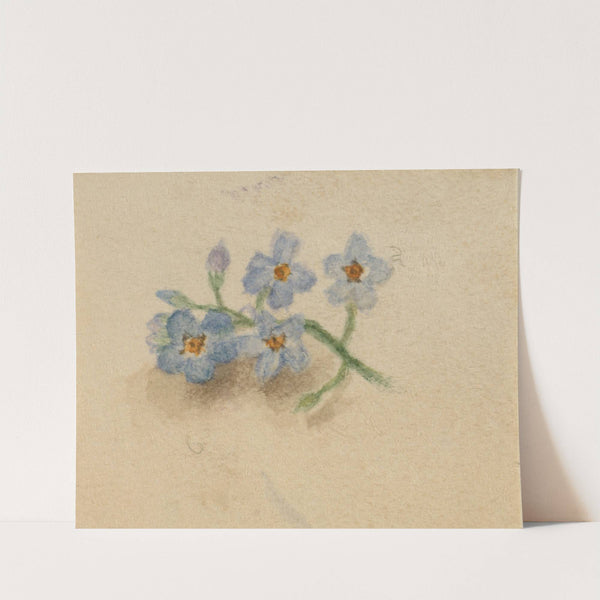 Untitled (1874) by Mary Vaux Walcott