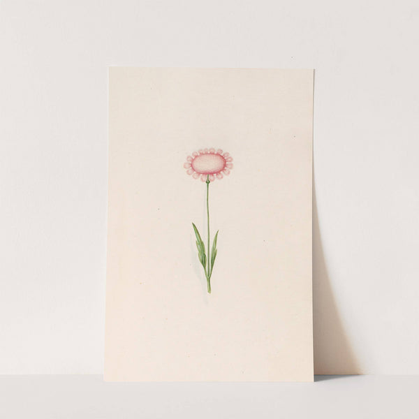 Untitled (1692) by Magdelena Rosina Funck