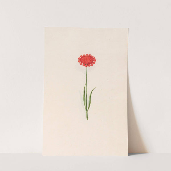 Untitled (1692) by Magdelena Rosina Funck